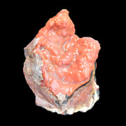 Warring States Agate 62*38*32mm 81g Rocks and Things Store