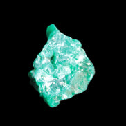Green Dioptase specimen from the Congo 25*8*20mm 35ct 6.9g in bright sunshine - Rocks and Things Store
