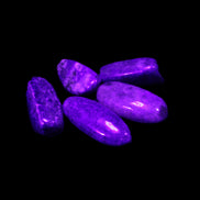 Lapis Lazuli small stones 11-12g in UV light - Rocks and Things Store