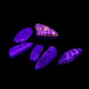 Lapis Lazuli small stones 11-12g in UV light - Rocks and Things Store