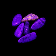 Lapis Lazuli small stones 11-12g in UV light - Rocks and Things Store