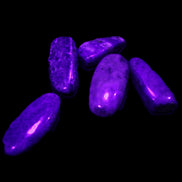 Lapis Lazuli small stones 11-12g in UV light - Rocks and Things Store