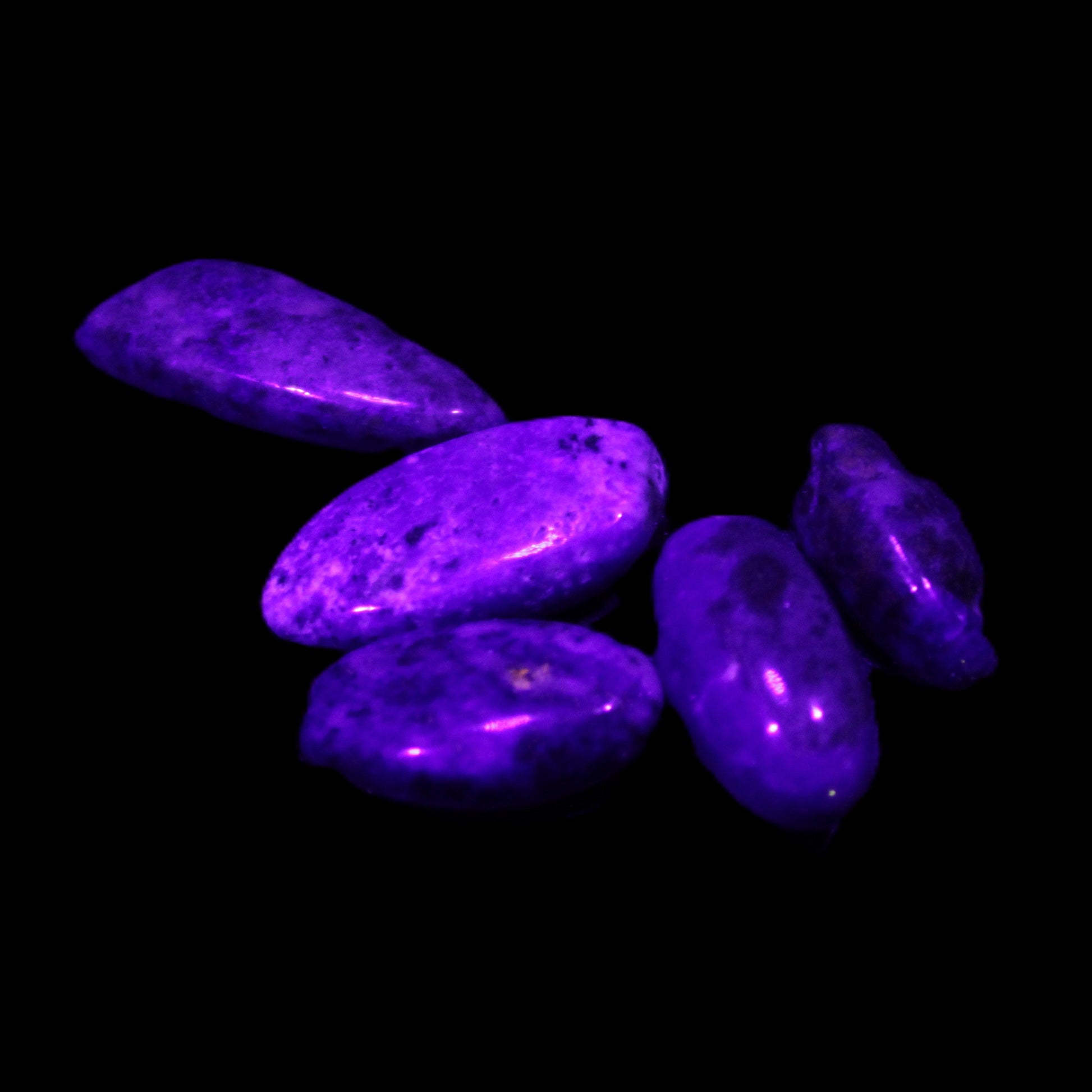 Lapis Lazuli small stones 11-12g in UV light - Rocks and Things Store