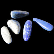 Lapis Lazuli small stones 11-12g Rocks and Things