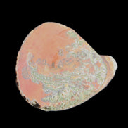 Surya Agate geode specimen 46*47*14mm 52g Rocks and Things Store