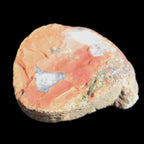 Surya Agate geode specimen 46*47*14mm 52g Rocks and Things Store