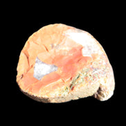 Surya Agate geode specimen 46*47*14mm 52g Rocks and Things Store