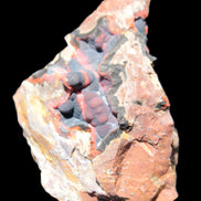 Warring States Carnelian Agate geode 53*50*29mm 90g Rocks and Things Store