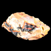 Warring States Carnelian Agate geode 53*50*29mm 90g Rocks and Things Store