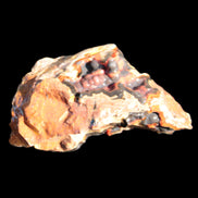 Warring States Carnelian Agate geode 53*50*29mm 90g Rocks and Things Store