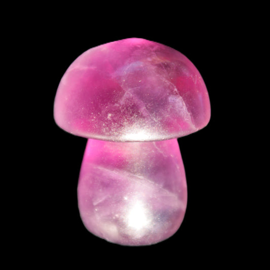 Purple Fluorite mushroom  26*35mm  37g Rocks and Things Store