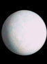 Amazonite sphere 39mm 80g Rocks and Things Store