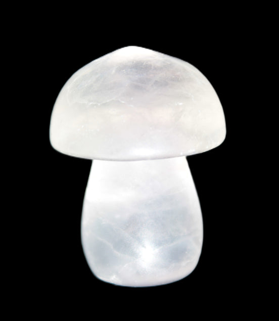 Clear Fluorite mushroom  25* 35mm  33g Rocks and Things Store