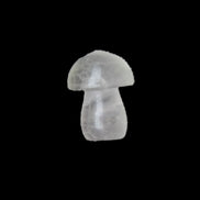 Clear Fluorite mushroom  25* 35mm  33g in sunlight - Rocks and Things Store