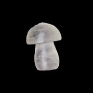 Clear Fluorite mushroom  25* 35mm  33g in sunlight - Rocks and Things Store