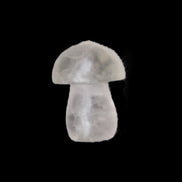 Clear Fluorite mushroom  25* 35mm  33g in sunlight - Rocks and Things Store