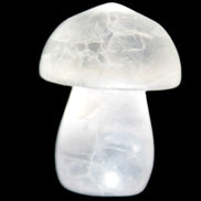 Clear Fluorite mushroom  25* 35mm  33g Rocks and Things Store