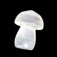 Clear Fluorite mushroom  25* 35mm  33g Rocks and Things Store
