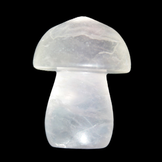 Clear Fluorite mushroom  25* 35mm  33g in sunlight - Rocks and Things Store