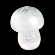 Clear Fluorite mushroom  25* 35mm  33g Rocks and Things Store
