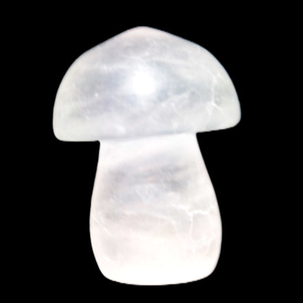 Clear Fluorite mushroom  25* 35mm  33g Rocks and Things Store