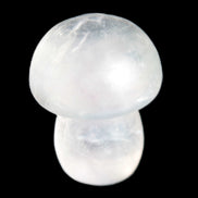 Clear Fluorite mushroom  25* 35mm  33g Rocks and Things Store