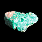 Green Dioptase specimen from the Congo 29*12*14mm 38ct 7.6g in bright sunshine - Rocks and Things Store