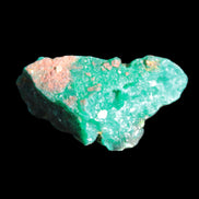 Green Dioptase specimen from the Congo 29*12*14mm 38ct 7.6g in bright sunshine - Rocks and Things Store