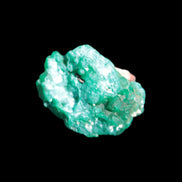 Green Dioptase specimen from the Congo 6.7-10g Rocks and Things Store