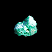 Green Dioptase specimen from the Congo 5g Rocks and Things Store