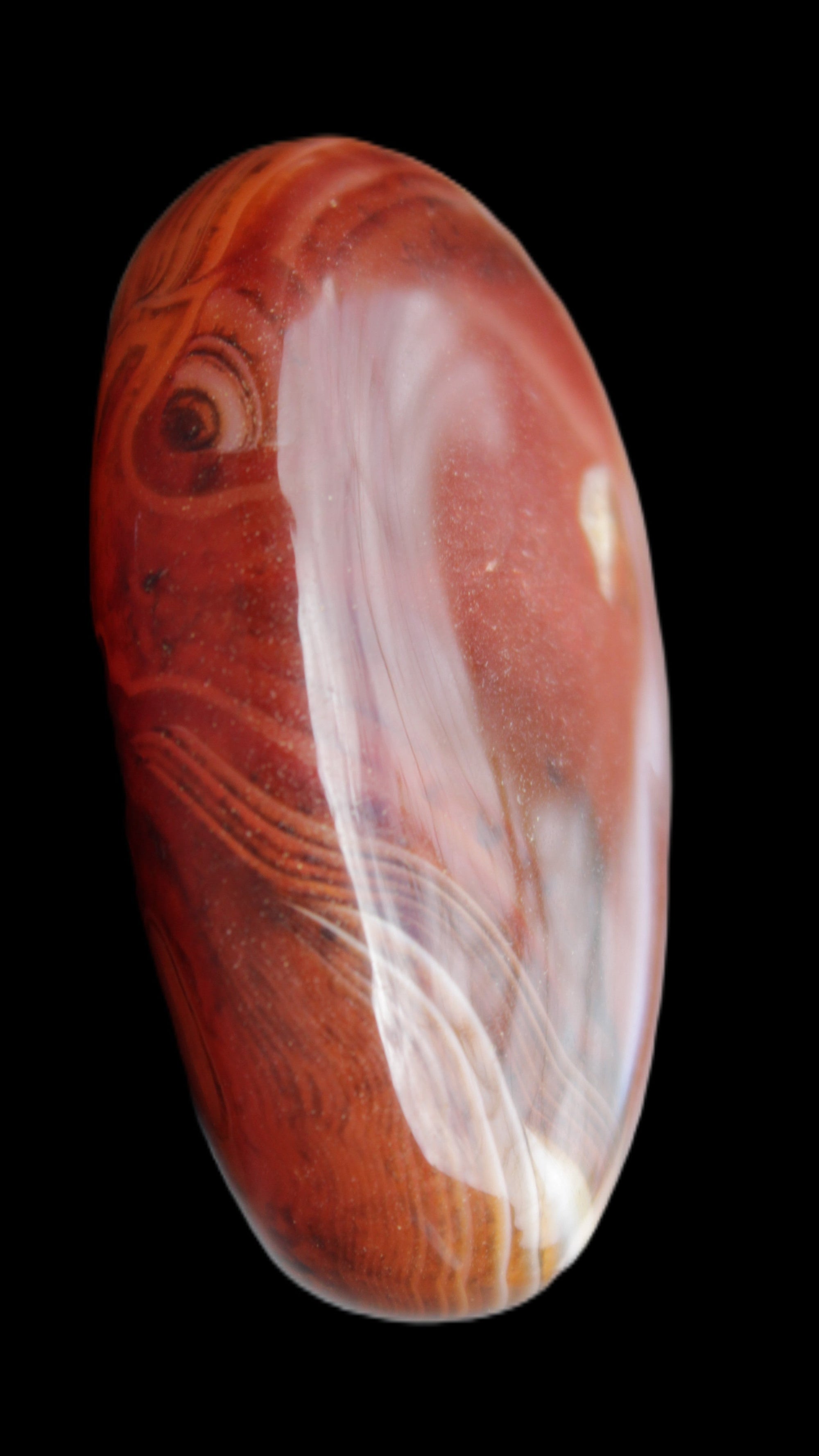 Crazy Lace Agate from Madagascar 52mm 66g Rocks and Things Store
