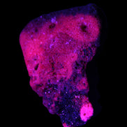 Ruby UV reactive cluster 50*39*11mm 52g in UV light