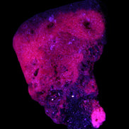 Ruby UV reactive cluster 50*39*11mm 52g Rocks and Things Store