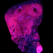 Ruby UV reactive cluster 50*39*11mm 52g Rocks and Things Store