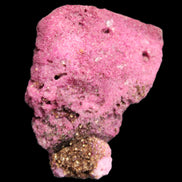 Ruby UV reactive cluster 50*39*11mm 52g in bright sunlight - Rocks and Things Store