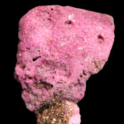 Ruby UV reactive cluster 50*39*11mm 52g in bright sunlight - Rocks and Things Store