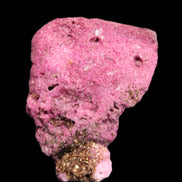 Ruby UV reactive cluster 50*39*11mm 52g in bright sunlight - Rocks and Things Store