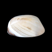 Banded Onyx Agate from Madagascar 58g - Rocks and Things Store