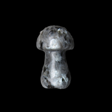 Larvikite mushroom 35*21*21mm 20g in sunlight - Rocks and Things Store