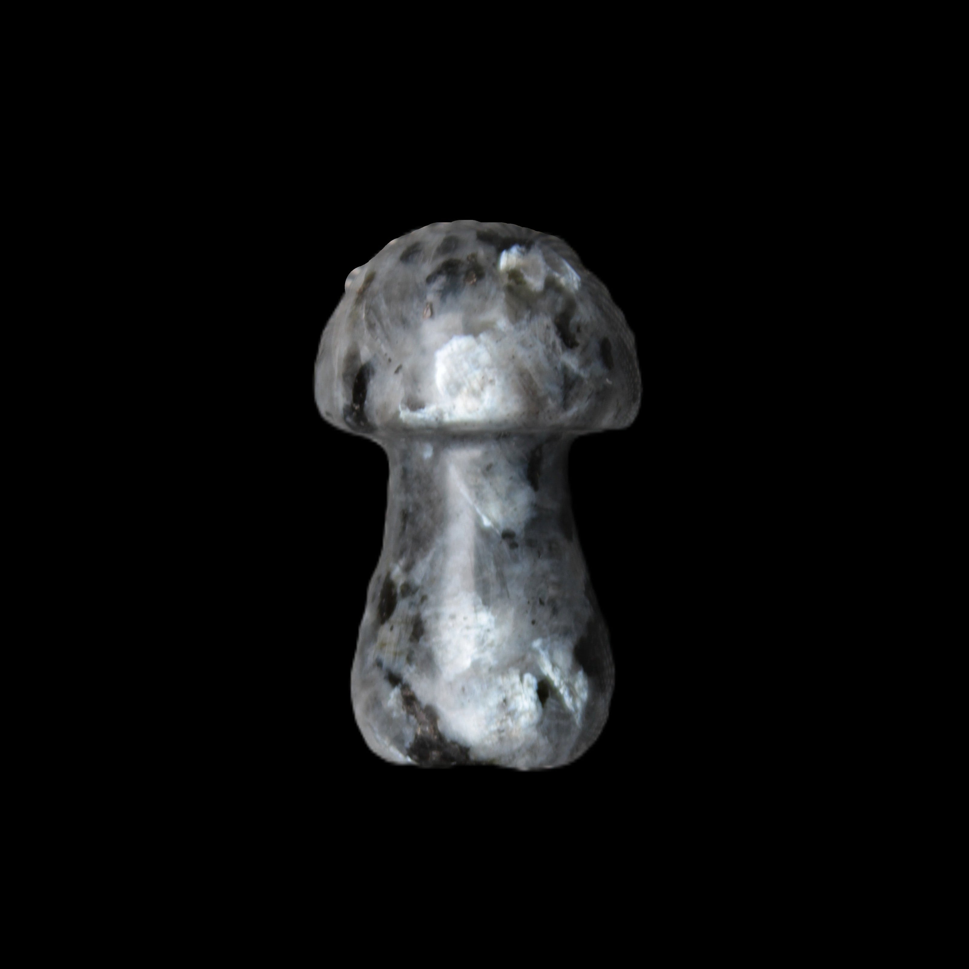 Larvikite mushroom 35*21*21mm 20g in sunlight - Rocks and Things Store