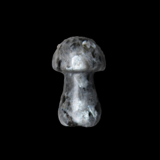 Larvikite mushroom 35*21*21mm 20g in sunlight - Rocks and Things Store