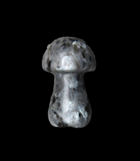 Larvikite mushroom 35*21*21mm 20g in sunlight - Rocks and Things Store