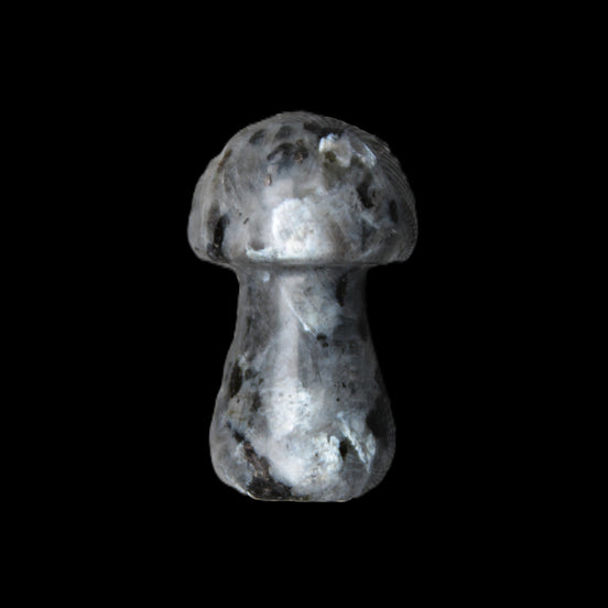 Larvikite mushroom 35*21*21mm 20g in sunlight - Rocks and Things Store