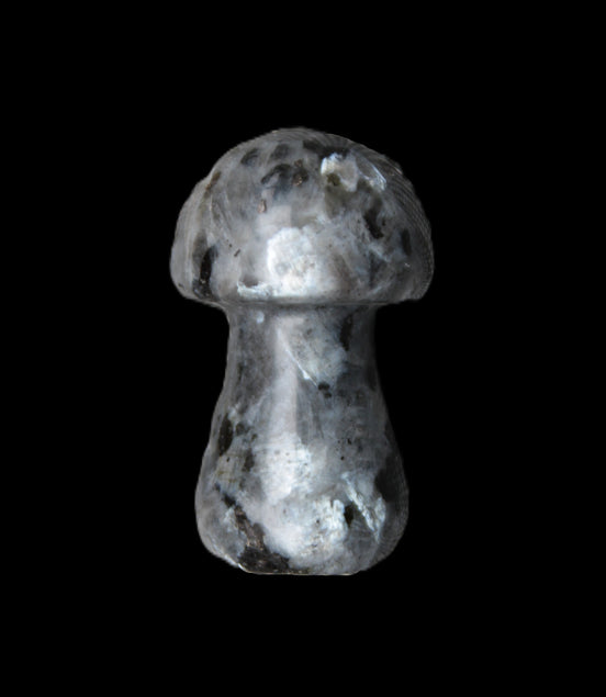 Larvikite mushroom 35*21*21mm 20g in sunlight - Rocks and Things Store
