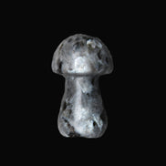 Larvikite mushroom 35*21*21mm 20g in sunlight - Rocks and Things Store