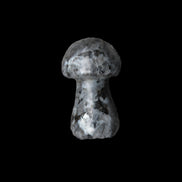 Larvikite mushroom 35*21*21mm 20g in sunlight - Rocks and Things Store