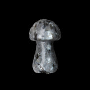 Larvikite mushroom 35*21*21mm 20g in sunlight - Rocks and Things Store