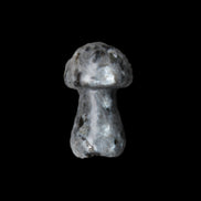 Larvikite mushroom 35*21*21mm 20g in sunlight - Rocks and Things Store