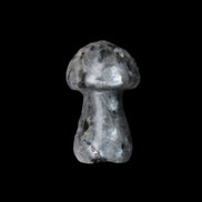Larvikite mushroom 35*21*21mm 20g in sunlight - Rocks and Things Store