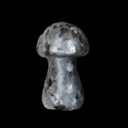 Larvikite mushroom 35*21*21mm 20g in sunlight - Rocks and Things Store